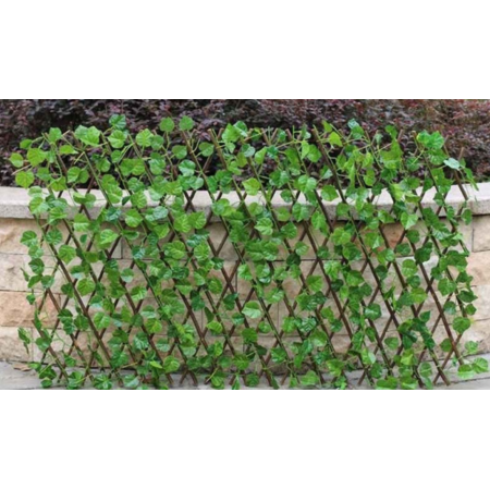 Ivy Trellis